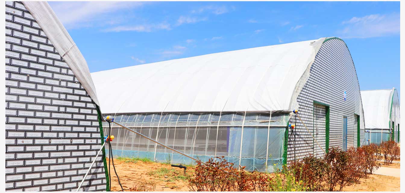 準(zhǔn)格爾旗現(xiàn)代智慧設(shè)施農(nóng)業(yè)產(chǎn)業(yè)園(網(wǎng)頁)_26.jpg 準(zhǔn)格爾旗現(xiàn)代智慧設(shè)施農(nóng)業(yè)產(chǎn)業(yè)園(網(wǎng)頁)_26.jpg