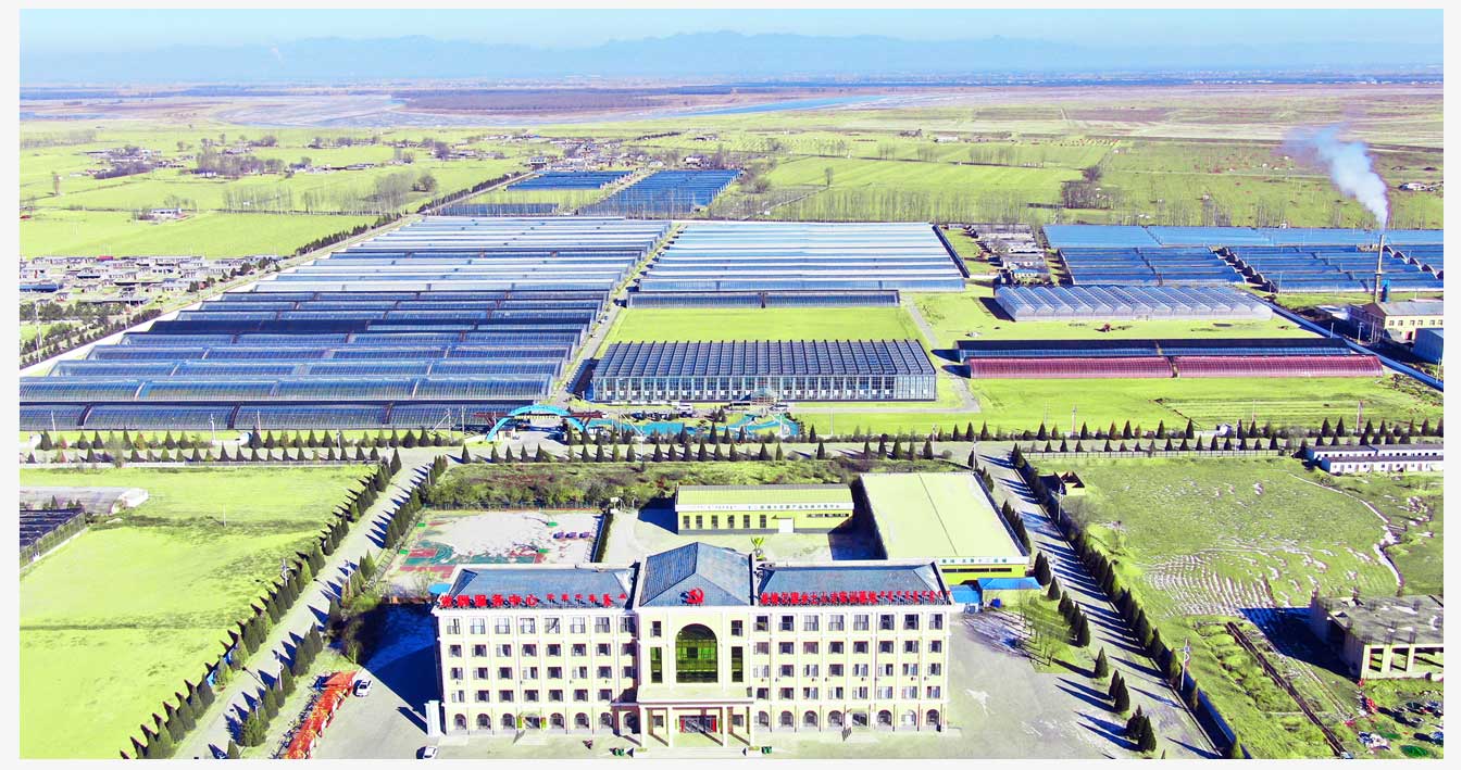 2963b146ca9a8c552a44307b4a5552f9_6387599254757238325460565.jpg 2963b146ca9a8c552a44307b4a5552f9_6387599254757238325460565.jpg