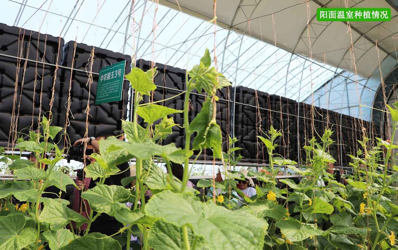 2、四季溫室網(wǎng)頁_12.jpg